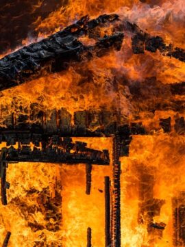 {{brizy_dc_image_alt imageSrc=