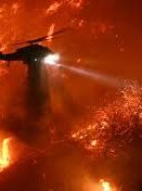 {{brizy_dc_image_alt imageSrc=